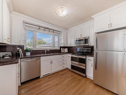 6046 105A Street, Edmonton, AB - Indoor Photo Showing Kitchen