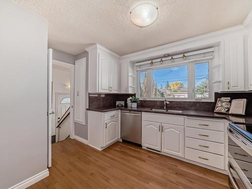 6046 105A Street, Edmonton, AB - Indoor Photo Showing Kitchen