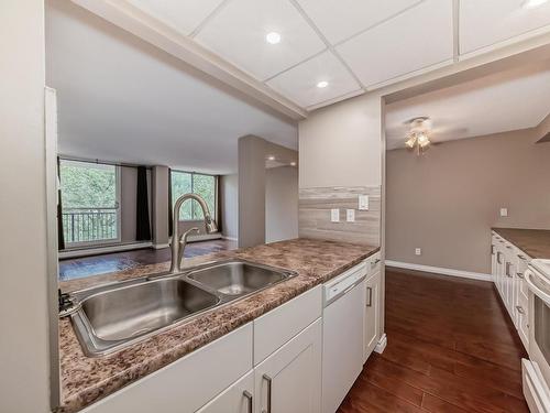 404 11007 83 Avenue, Edmonton, AB - Indoor Photo Showing Kitchen With Double Sink