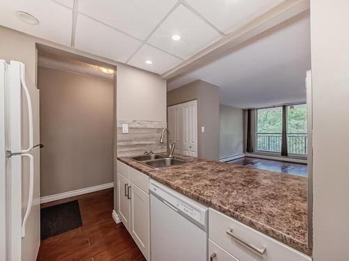 404 11007 83 Avenue, Edmonton, AB - Indoor Photo Showing Kitchen With Double Sink