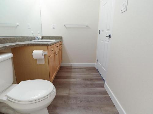 26 3040 Spence Wynd, Edmonton, AB - Indoor Photo Showing Bathroom