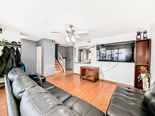 4515 20A Avenue, Edmonton, AB - Indoor Photo Showing Living Room