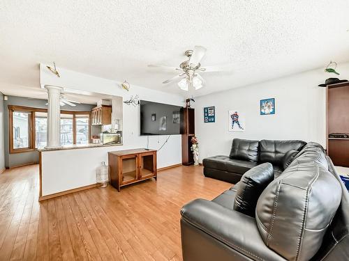 4515 20A Avenue, Edmonton, AB - Indoor Photo Showing Living Room