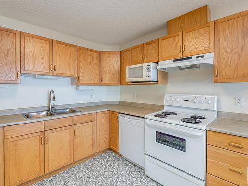 336 2741 55 Street, Edmonton, AB - Indoor Photo Showing Kitchen With Double Sink