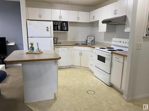 306 11325 83 Street, Edmonton, AB - Indoor Photo Showing Kitchen With Double Sink