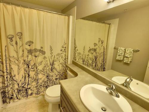 216 3670 139 Avenue, Edmonton, AB - Indoor Photo Showing Bathroom