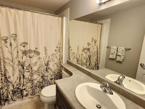 216 3670 139 Avenue, Edmonton, AB - Indoor Photo Showing Bathroom