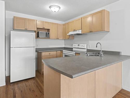 41 11010 124 Street, Edmonton, AB - Indoor Photo Showing Kitchen With Double Sink