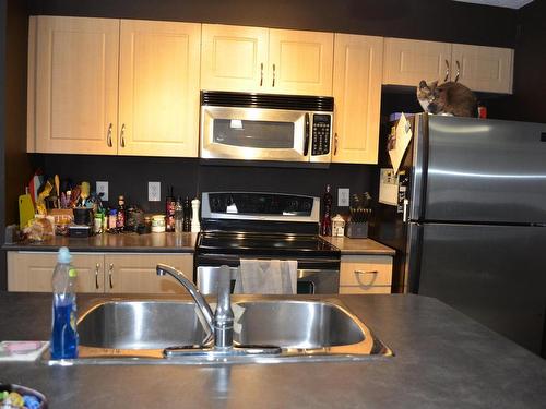 111 11445 Ellerslie Road Sw, Edmonton, AB - Indoor Photo Showing Kitchen With Double Sink