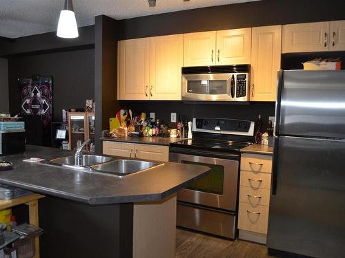 111 11445 Ellerslie Road Sw, Edmonton, AB - Indoor Photo Showing Kitchen With Double Sink