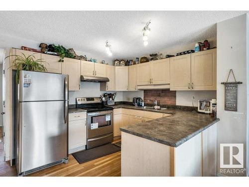 29 12104 16 Avenue, Edmonton, AB - Indoor Photo Showing Kitchen With Double Sink