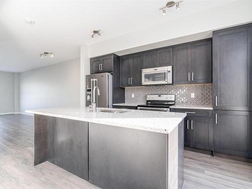 38 2560 Pegasus Boulevard Nw, Edmonton, AB - Indoor Photo Showing Kitchen With Stainless Steel Kitchen With Double Sink With Upgraded Kitchen