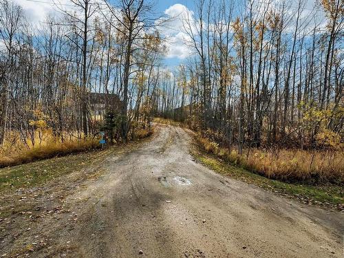 16 53407 Rge Road 30, Rural Parkland County, AB - Outdoor With View