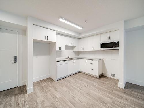 202 9504 182 Street, Edmonton, AB - Indoor Photo Showing Kitchen