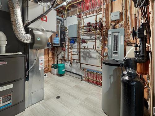 3719 Cameron Heights Place, Edmonton, AB - Indoor Photo Showing Basement