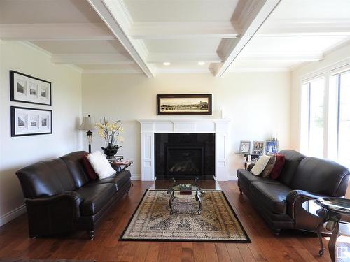 1111 Hainstock Green, Edmonton, AB - Indoor Photo Showing Living Room With Fireplace