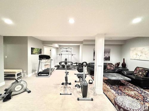 1330 Adamson Drive, Edmonton, AB - Indoor Photo Showing Gym Room