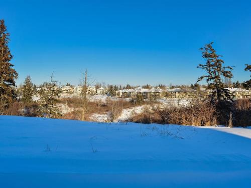 35 10550 Ellerslie Road, Edmonton, AB - Outdoor With View