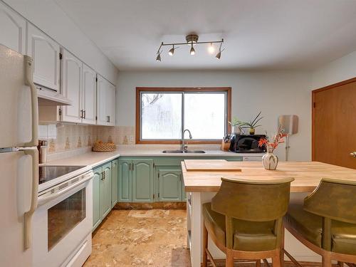 6919 83 Avenue Nw, Edmonton, AB - Indoor Photo Showing Kitchen With Double Sink