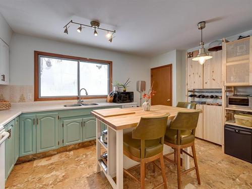 6919 83 Avenue Nw, Edmonton, AB - Indoor Photo Showing Kitchen With Double Sink