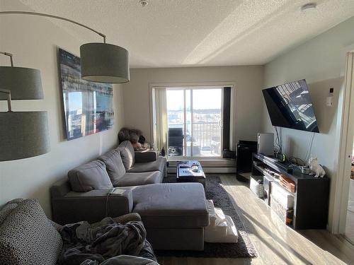 335 390 Windermere Road, Edmonton, AB - Indoor Photo Showing Living Room