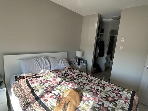 335 390 Windermere Road, Edmonton, AB - Indoor Photo Showing Bedroom