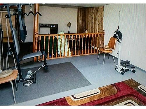 503 Lessard Drive, Edmonton, AB - Indoor Photo Showing Gym Room