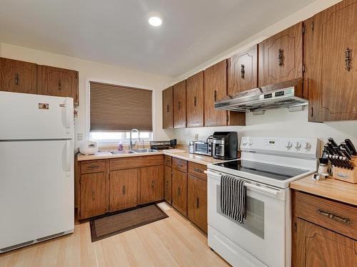 13309 47 Street, Edmonton, AB - Indoor Photo Showing Kitchen With Double Sink