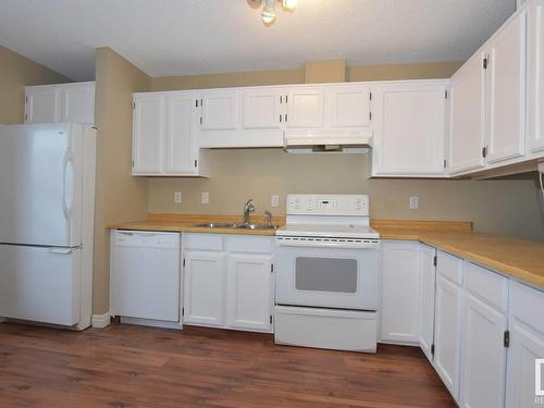 14131 26 Street, Edmonton, AB - Indoor Photo Showing Kitchen With Double Sink