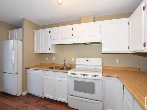 14131 26 Street, Edmonton, AB - Indoor Photo Showing Kitchen With Double Sink