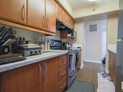 501 10130 114 Street, Edmonton, AB - Indoor Photo Showing Kitchen