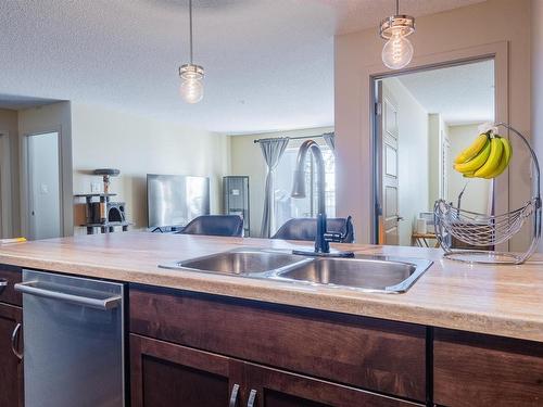 103 6084 Stanton Drive, Edmonton, AB - Indoor Photo Showing Kitchen With Double Sink