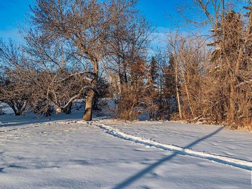 1 6205 98 Avenue, Edmonton, AB - Outdoor With View