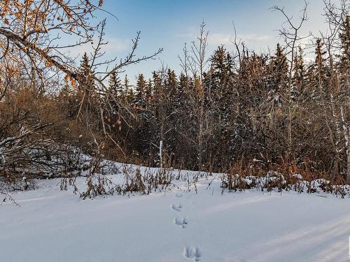 1 6205 98 Avenue, Edmonton, AB - Outdoor With View