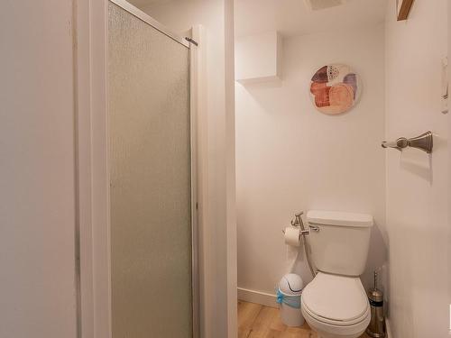 1325 39 Street, Edmonton, AB - Indoor Photo Showing Bathroom