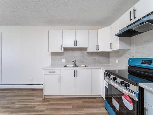 302 10432 76 Avenue, Edmonton, AB - Indoor Photo Showing Kitchen With Double Sink