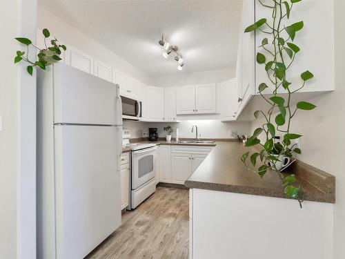 420 13625 34 Street, Edmonton, AB - Indoor Photo Showing Kitchen