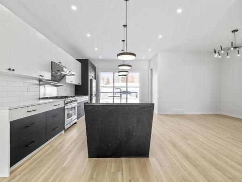 9846 74 Avenue, Edmonton, AB - Indoor Photo Showing Kitchen With Upgraded Kitchen