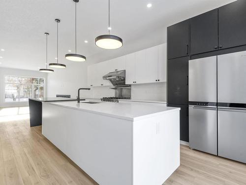 9846 74 Avenue, Edmonton, AB - Indoor Photo Showing Kitchen With Upgraded Kitchen