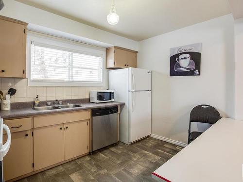 5113 106A Street, Edmonton, AB - Indoor Photo Showing Kitchen With Double Sink