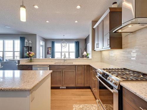 1640 Davidson Green, Edmonton, AB - Indoor Photo Showing Kitchen With Upgraded Kitchen