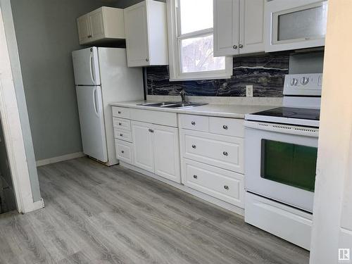 12010 91 Street, Edmonton, AB - Indoor Photo Showing Kitchen With Double Sink