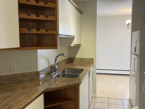 6310 101 Avenue Nw, Edmonton, AB - Indoor Photo Showing Kitchen With Double Sink