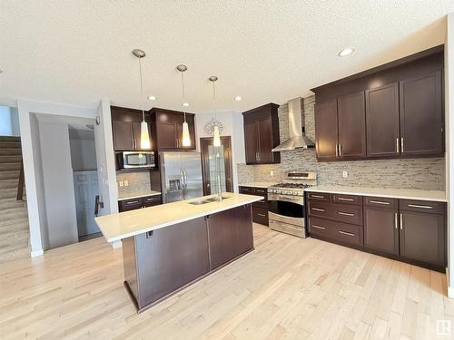 4211 Charles Close, Edmonton, AB - Indoor Photo Showing Kitchen With Stainless Steel Kitchen With Upgraded Kitchen