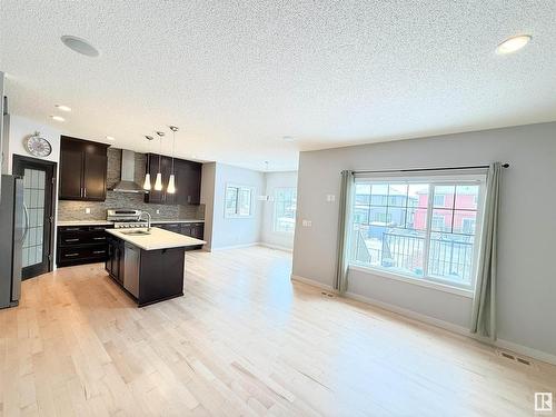 4211 Charles Close, Edmonton, AB - Indoor Photo Showing Kitchen With Stainless Steel Kitchen With Upgraded Kitchen