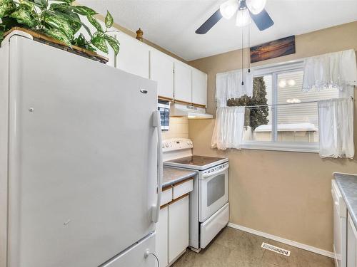 347 Northgate Terrace Nw, Edmonton, AB - Indoor Photo Showing Kitchen