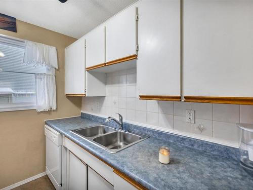 347 Northgate Terrace Nw, Edmonton, AB - Indoor Photo Showing Kitchen With Double Sink