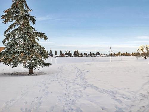 347 Northgate Terrace Nw, Edmonton, AB - Outdoor With View