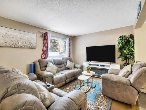 347 Northgate Terrace Nw, Edmonton, AB - Indoor Photo Showing Living Room