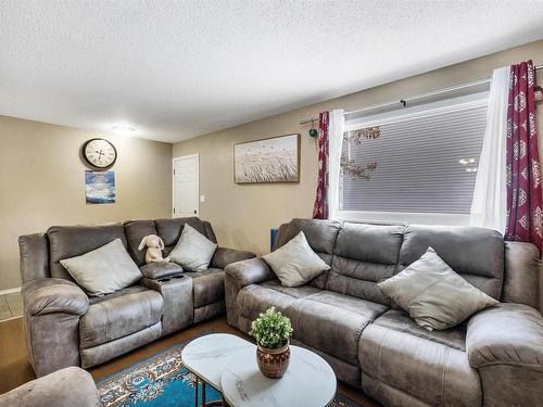 347 Northgate Terrace Nw, Edmonton, AB - Indoor Photo Showing Living Room